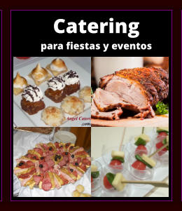 CATERING PARA FIESTAS en Zona Norte de Buenos Aires - CATERING en Zona Norte de Buenos Aires